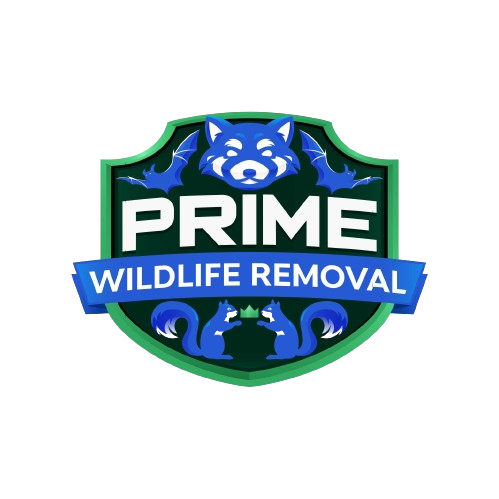 Wildlife Removal Springfield